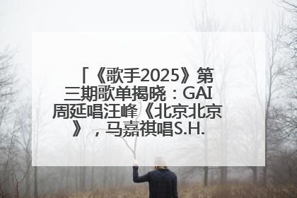 《歌手2025》第三期歌单揭晓：GAI周延唱汪峰《北京北京》，马嘉祺唱S.H.E《你曾是少年》