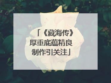 《藏海传》厚重底蕴精良制作引关注
