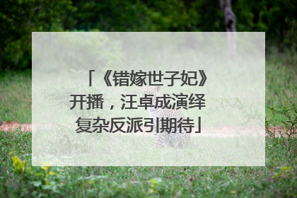 《错嫁世子妃》开播，汪卓成演绎复杂反派引期待