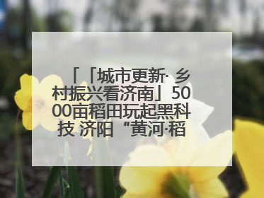 「城市更新· 乡村振兴看济南」5000亩稻田玩起黑科技 济阳“黄河·稻乡湾”靠“非遗+露营”火出圈