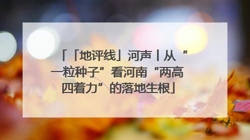 「地评线」河声丨从“一粒种子”看河南“两高四着力”的落地生根