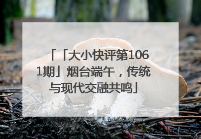 「大小快评第1061期」烟台端午，传统与现代交融共鸣