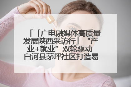 「广电融媒体高质量发展陕西采访行」“产业+就业”双轮驱动 白河县茅坪社区打造易地搬迁后扶新样本