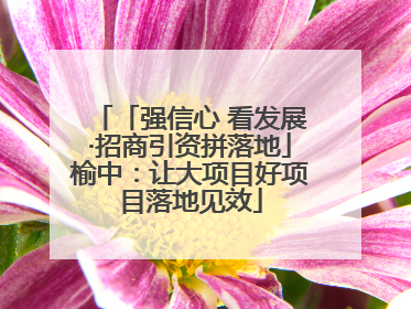 「强信心 看发展·招商引资拼落地」榆中：让大项目好项目落地见效