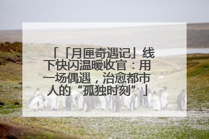 「月匣奇遇记」线下快闪温暖收官：用一场偶遇，治愈都市人的“孤独时刻”