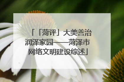 「菏评」大美善治润泽家园——菏泽市网络文明建设综述