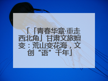 「青春华章·重走西北角」甘肃文旅嬗变：荒山变花海，文创“语”千年