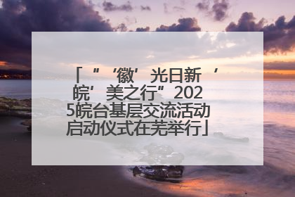 “‘徽’光日新‘皖’美之行”2025皖台基层交流活动启动仪式在芜举行