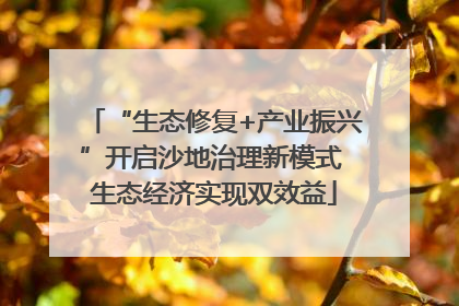 “生态修复+产业振兴”开启沙地治理新模式 生态经济实现双效益