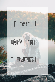 “码”上响应 “阳”帆护航