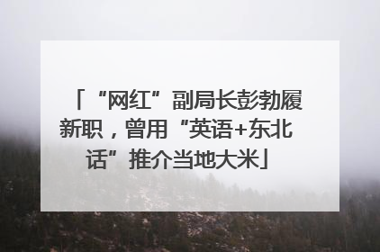 “网红”副局长彭勃履新职，曾用“英语+东北话”推介当地大米