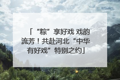 “粽”享好戏 戏韵流芳！共赴河北“中华有好戏”特别之约