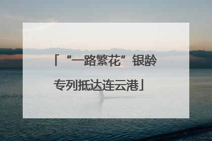 “一路繁花”银龄专列抵达连云港