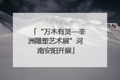 “万木有灵—非洲雕塑艺术展”河南安阳开展