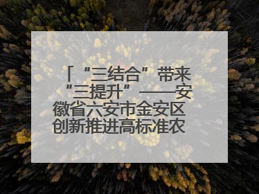 “三结合”带来“三提升”——安徽省六安市金安区创新推进高标准农田建设