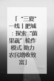“三夏”一线丨肥城：探索“菌果蔬”轮作模式 助力农民增收致富