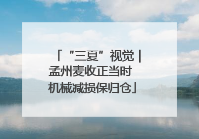 “三夏”视觉｜孟州麦收正当时 机械减损保归仓