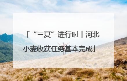 “三夏”进行时丨河北小麦收获任务基本完成