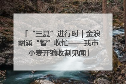 “三夏”进行时｜金浪翻涌“智”收忙——我市小麦开镰收割见闻