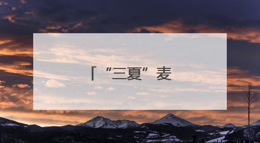 “三夏”麦香溢满仓