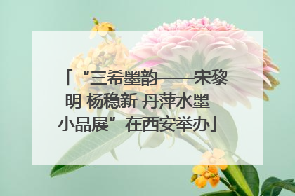 “三希墨韵——宋黎明 杨稳新 丹萍水墨小品展”在西安举办