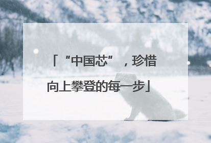 “中国芯”，珍惜向上攀登的每一步