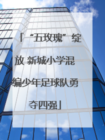 “五玫瑰”绽放 新城小学混编少年足球队勇夺四强