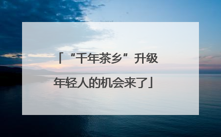 “千年茶乡”升级 年轻人的机会来了