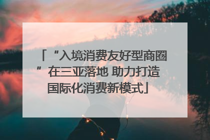 “入境消费友好型商圈”在三亚落地 助力打造国际化消费新模式