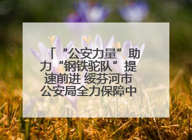 “公安力量”助力“钢铁驼队”提速前进 绥芬河市公安局全力保障中欧班列“东通道”绥芬河隧道贯通
