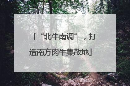 “北牛南调”，打造南方肉牛集散地