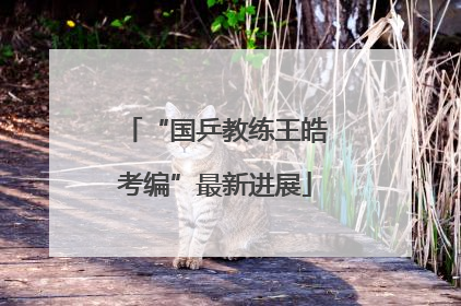 “国乒教练王皓考编”最新进展