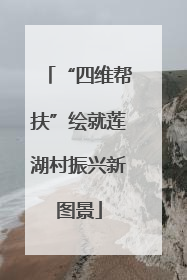 “四维帮扶”绘就莲湖村振兴新图景
