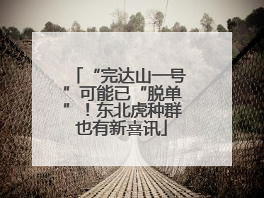 “完达山一号”可能已“脱单”！东北虎种群也有新喜讯