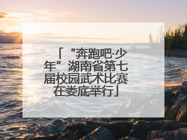 “奔跑吧·少年”湖南省第七届校园武术比赛在娄底举行