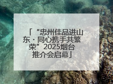 “忠州佳品进山东・同心携手共繁荣”2025烟台推介会启幕