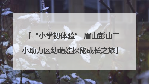 “小学初体验” 眉山彭山二小助力区幼萌娃探秘成长之旅