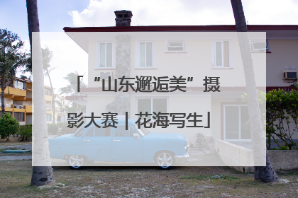 “山东邂逅美”摄影大赛｜花海写生