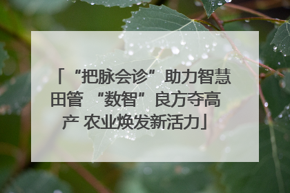 “把脉会诊”助力智慧田管 “数智”良方夺高产 农业焕发新活力