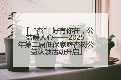 “杏” 好有你在，公益暖人心——2025 年第二届低保家庭杏树公益认领活动开启