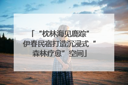 “枕林海见鹿踪” 伊春民宿打造沉浸式“森林疗愈”空间