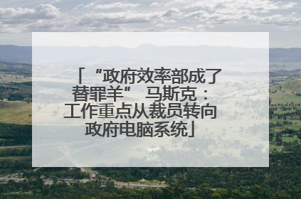 “政府效率部成了替罪羊” 马斯克：工作重点从裁员转向政府电脑系统