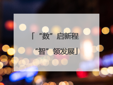 “数”启新程 “智”领发展