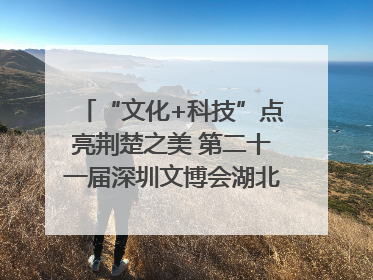 “文化+科技”点亮荆楚之美 第二十一届深圳文博会湖北馆抢“鲜”看