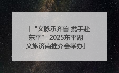 “文脉承齐鲁 携手赴东平” 2025东平湖文旅济南推介会举办