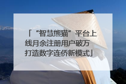 “智慧熊猫”平台上线月余注册用户破万 打造数字连侨新模式