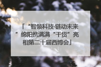 “智领科技·链动未来”绵阳携满满“干货”亮相第二十届西博会