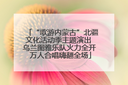 “歌游内蒙古”北疆文化活动季主题演出 乌兰图雅乐队火力全开 万人合唱嗨翻全场