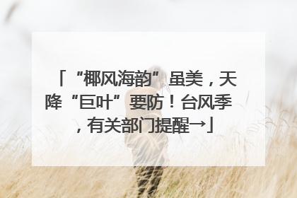 “椰风海韵”虽美，天降“巨叶”要防！台风季，有关部门提醒→