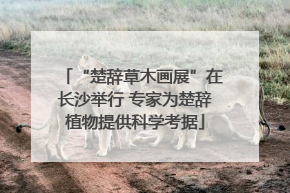 “楚辞草木画展”在长沙举行 专家为楚辞植物提供科学考据